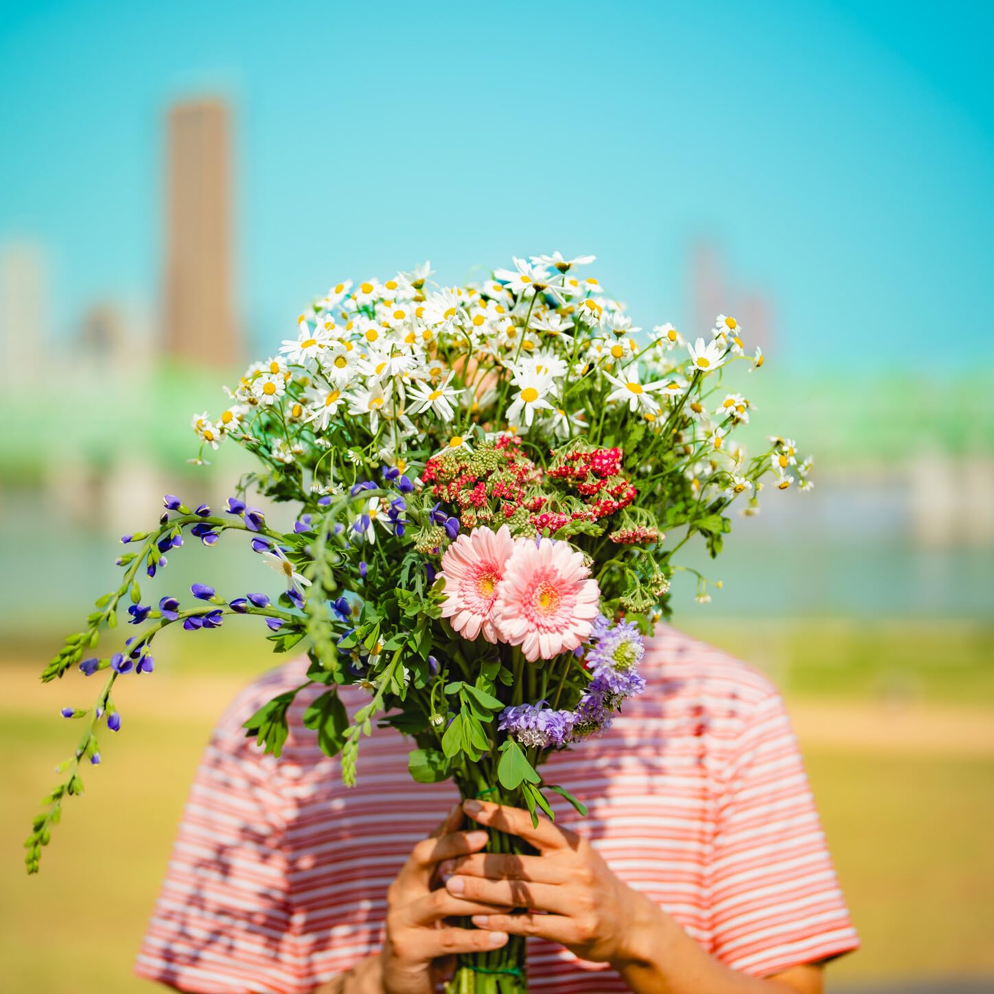 Image Cover